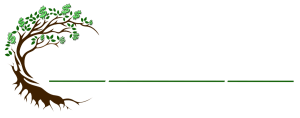 City-Direct